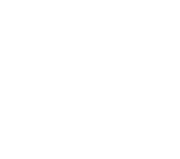 WhaleShark Boutique